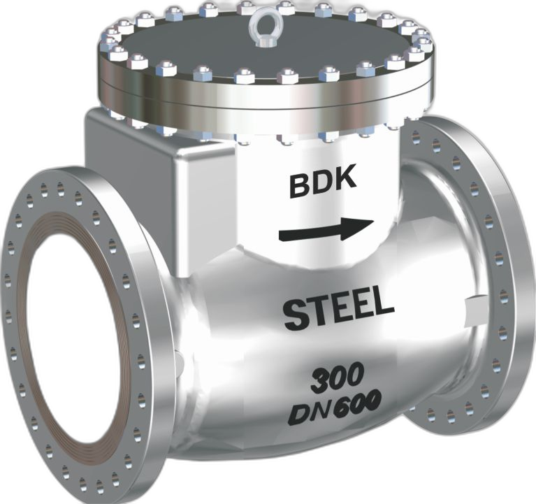 Cryogenic Check Valves