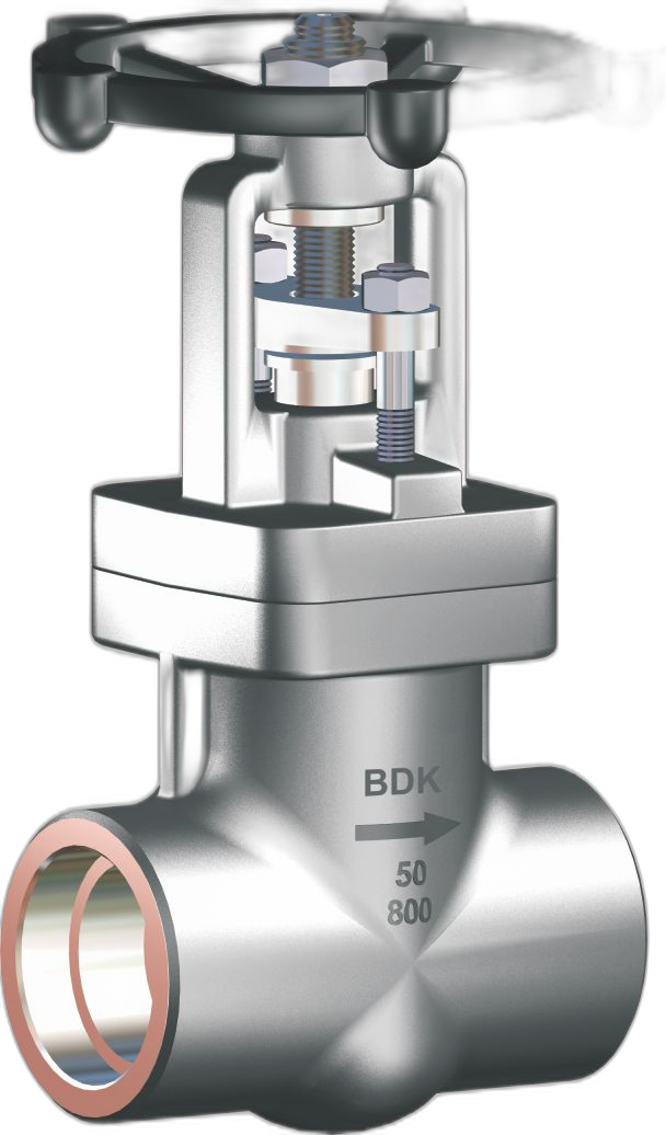 Forged Steel Gate Valves