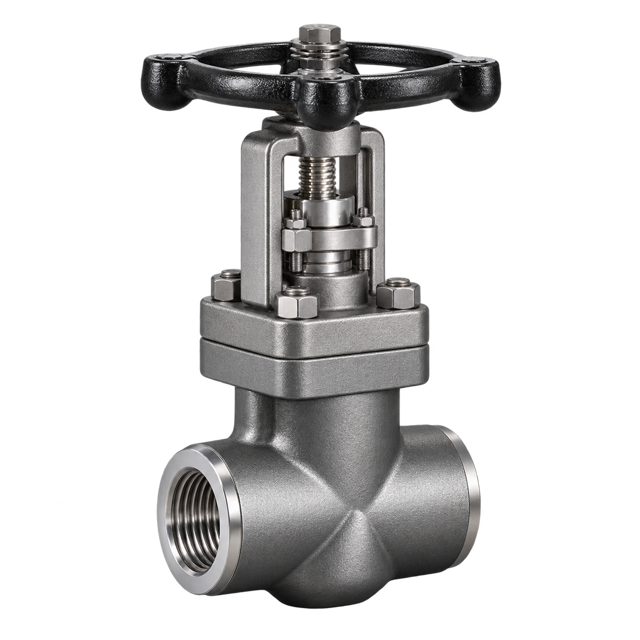 Forged Steel Globe Valves
