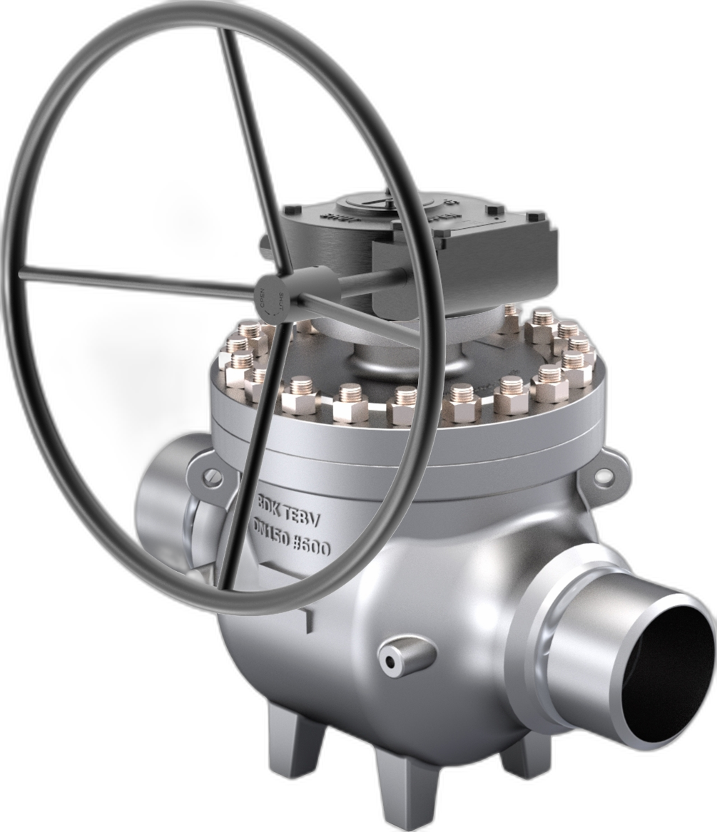 Top Entry Ball Valves